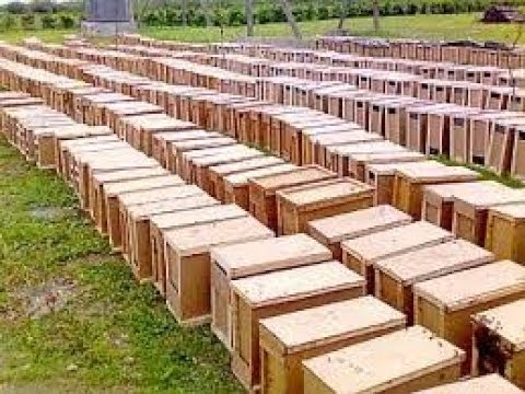 Видео: Пчеловодство.Размножение пчёл - Отводки.Часть №2