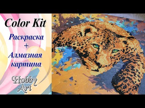 Видео: ColorKit / Раскраска+Алмазная картина / Готовая работа