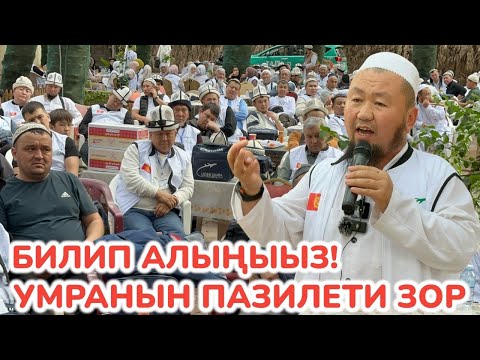 Видео: БАХТИЯР устаз бирде ЫЙЛАТАТ, бирде ЖЫРГАТАТ ~ УМРАЧЫЛАРДЫ тизип алып ЭЗИП САЛДЫ ~ ЛИДЕР УМРА менен