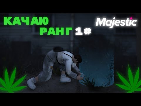 Видео: Качаю ранг закладчика семьи на Majestic RP! 1#  *сколько получится заработать?*