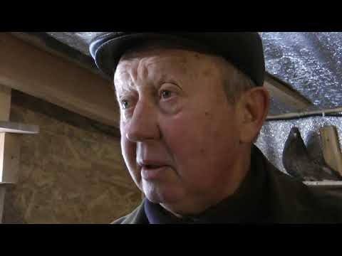 Видео: В ГОЛУБИНОМ МИРЕ