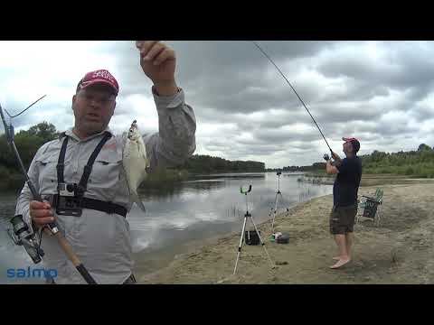 Видео: #Десна #фидер #feeder Фидер на Десне: снасти, оснастки, нюансы и...хорошее настроение!