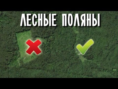 Видео: ПОИСКИ НА ЛЕСНЫХ ПОЛЯНАХ И ВЫРУБКАХ! Советы кладоискателей