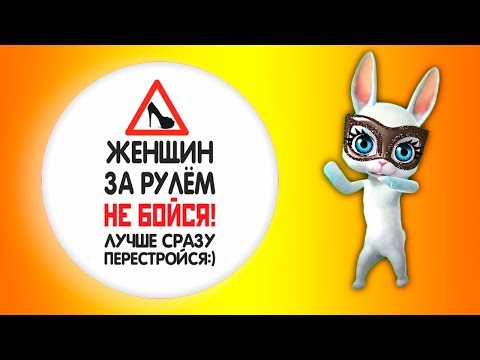 Видео: Сдай вождение, Вика! Шуточная песня переделка попурри от ZOOBE Зайки Natali