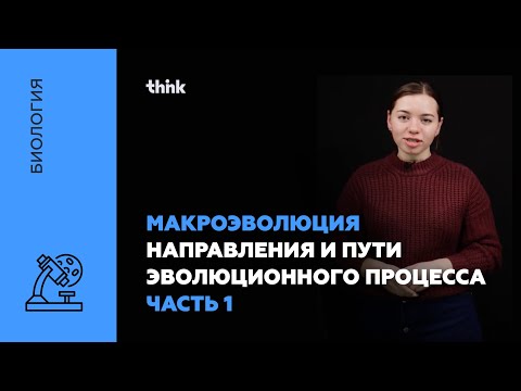 Видео: Макроэволюция. Направления и пути эволюционного процесса(часть 1) | Биология