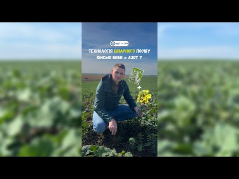 Видео: Кінські боби = азот♻️ Технологія бінарного посіву2️⃣