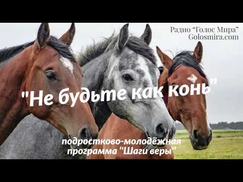 Видео: 33.Шаги веры - ''Не будьте как конь'' - читает Светлана [Радио Голос Мира]