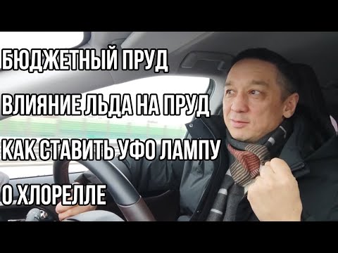 Видео: Ответы на вопросы. Бюджетный пруд, влияние льда на пруд, куда ставить УФО лампу, о хлорелле