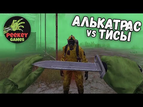 Видео: DayZ НЕБО И ЗЕМЛЯ! 5я серия Разнашиваем химзу лутая Алькатрас и Тисы