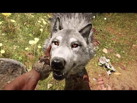 Видео: Най-сладкият Вълк - Far Cry Primal #3