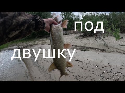 Видео: ЩУКА на ВОБЛЕР. Под ДВУШКУ... Воблер Rerange 110SP от Bearking.
