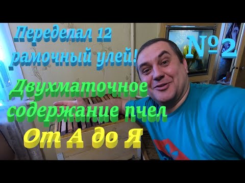 Видео: Двухматочное пчеловодство 12 рамочный улей переделал на два отсека, что у меня получилось!