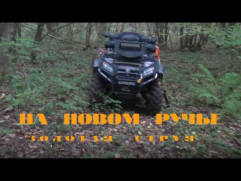 Видео: На новом ручье.''Золотая Струя''Супер лопата для поиска.