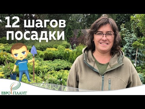 Видео: 12 шагов посадки.