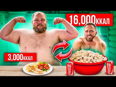 Видео: Поменялся ПИТАНИЕМ с ПЕЛЬМЕНЕМ! 16000 калорий ЧЕЛЛЕНДЖ