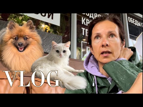 Видео: Вы ещё здесь? Вещи не продаются, что делать? Отвечаю на вопросы Интересные места Калининград