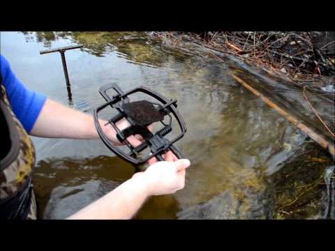 Видео: Основы отлова бобров: опоры