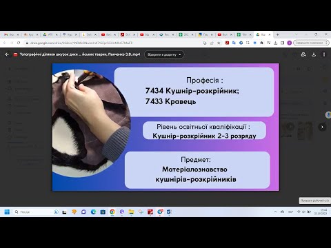 Видео: Топографічні ділянки шкурок диких та свійських тварин