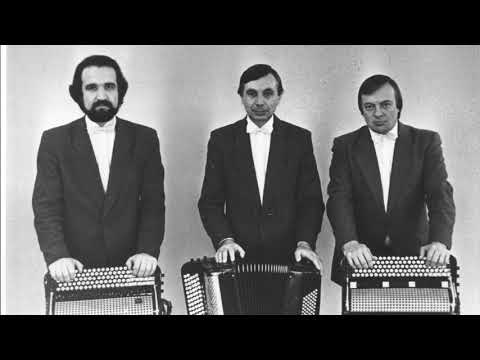 Видео: Братское трио баянистов 1989 год