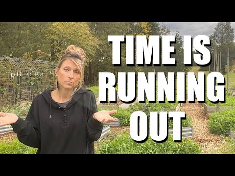 Видео: НИКТО не придет тебе на помощь // Время уходит // Всё становится совсем ПЛОХО
