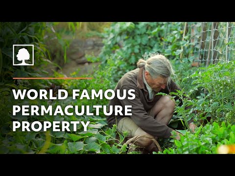 Видео: Тур по ферме Мелиодора с Дэвидом Холмгреном и Су Деннеттом (Permaculture Tours - Ep 2)