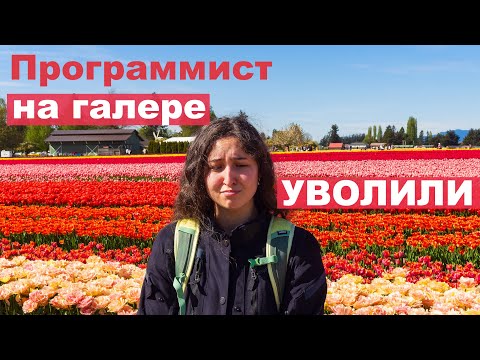 Видео: Меня уволили, когда я была Junior Full Stack разработчиком