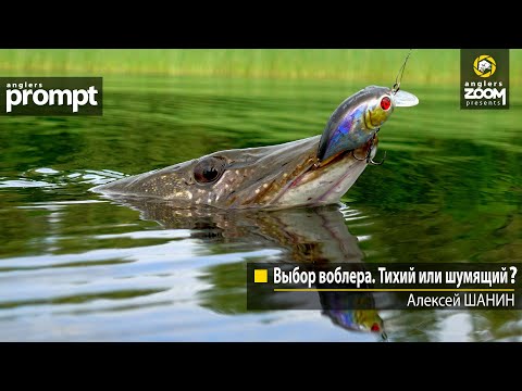 Видео: Выбор воблера. Тихий или шумящий? Алексей Шанин. Anglers Prompt
