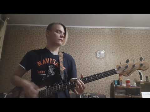 Видео: Тараканы! - Собачье Сердце (Bass Cover)
