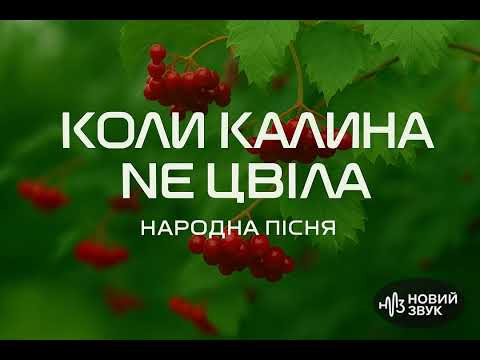 Видео: НОВИЙ ЗВУК : Коли Калина не Цвіла
