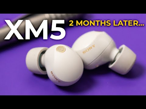 Видео: Sony WF-1000XM5 — 2 месяца спустя (🔥 НОВЫЙ РАНГ)