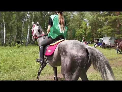 Видео: Белебей. Сабантуй 2023