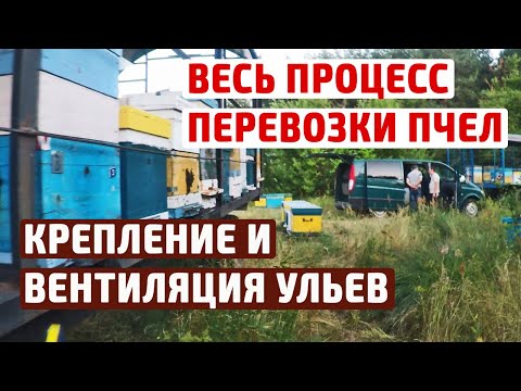 Видео: ПРАВИЛЬНАЯ перевозка пчел. Как крепить ульи и организовать вентиляцию?