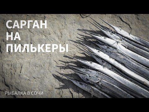 Видео: Сарган на пилькеры. Рыбалка в Сочи в ноябре. Evergreen Poseidon Superior SPRS-84M-T The “Maneuver”