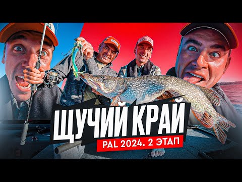 Видео: ЩУЧИЙ КРАЙ! Начало саратовской заварухи. PAL 2024