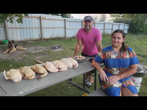 Видео: КАК БЫСТРО И ЛЕГКО ОЩИПАТЬ УТОК МАШИНКОЙ