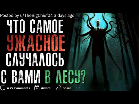 Видео: ЧТО САМОЕ УЖАСНОЕ СЛУЧАЛОСЬ С ВАМИ В ЛЕСУ?🌲#3