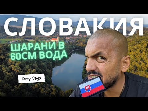 Видео: CarpDays - Словашки шарани в 60см вода