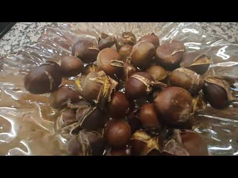 Видео: КАШТАНЫ В АЭРОГРИЛЕ 