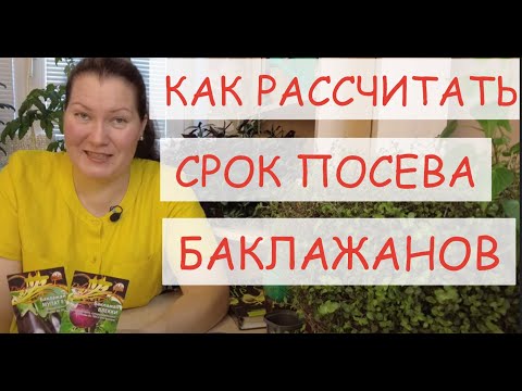 Видео: КОГДА СЕЯТЬ БАКЛАЖАНЫ НА РАССАДУ. КАК РАССЧИТАТЬ СРОК ПОСЕВА БАКЛАЖАН ДЛЯ ВАШЕГО РЕГИОНА