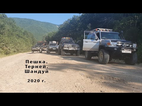 Видео: Пешка Терней Шандуй 2020