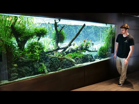 Видео: Частный тур по *ЛУЧШЕМУ* В МИРЕ АКВАРИУМУ с растениями!