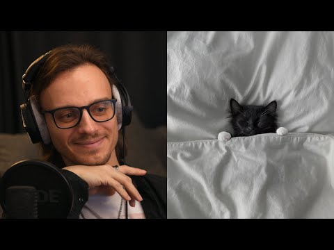 Видео: Мія Рамарі, Настя Гонцул - Мій кіт і я | реакція та розбір