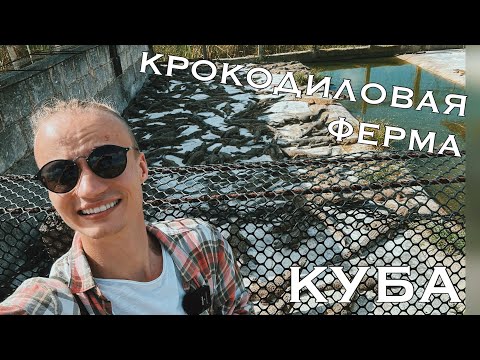 Видео: КРОКОДИЛОВАЯ ФЕРМА НА КУБЕ. Зачем их разводят? САМЫЙ опасный крокодил в МИРЕ! МЫ В ИНКУБАТОРЕ!