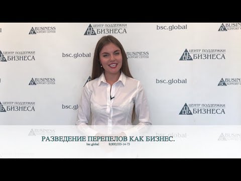 Видео: РАЗВЕДЕНИЕ ПЕРЕПЕЛОВ КАК БИЗНЕС