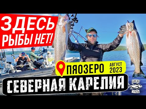 Видео: ПЯОЗЕРО АВГУСТ 2023 год.  ЗДЕСЬ РЫБЫ НЕТ!