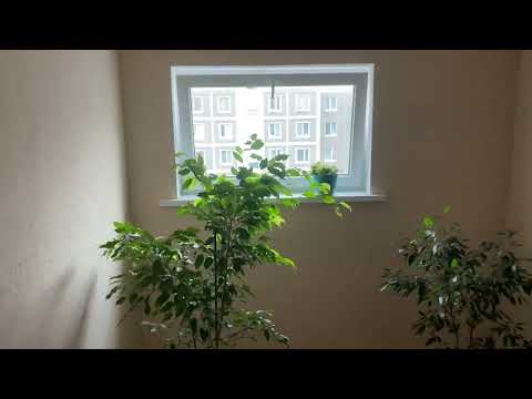 Видео: Лифт МЛЗ 1993 года, V=0.71 м/с, гп=400 кг. (г. Минск, проезд Слободской 6 п6)