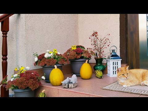 Видео: 🍁Впускаю Осень в Дом🏠 Кухня Нарядилась в Осенний Декор🍄 Баклажаны "Лодочки" в Духовке #дом #декор