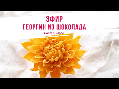 Видео: Георгин из Пластичного Шоколада