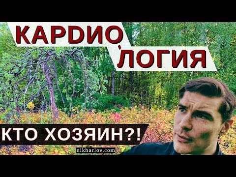 Видео: Кето диета увеличивает плохой холестерин ЛПНП — Когда ждать атеросклероз. Что скажет кардиология?