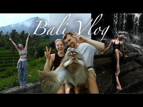 Видео: Впервые на Бали. Убуд | фото с обезьяной, север, водопады и лучший кофе в моей жизни!